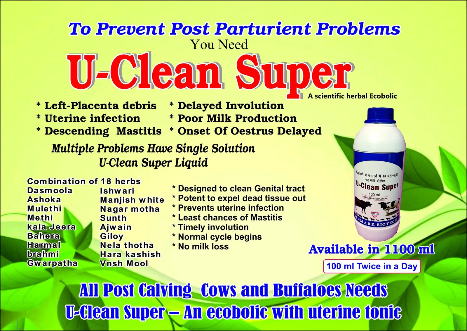 Herbal veterinary healthcare formulation and packaging