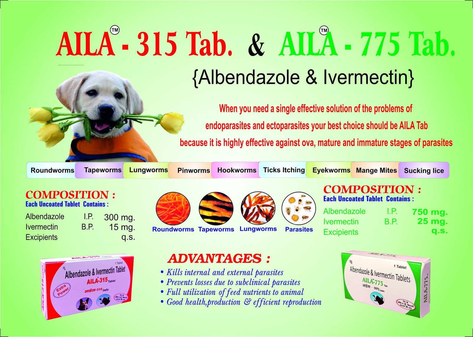 Veterinary tablet healthcare range and packaging